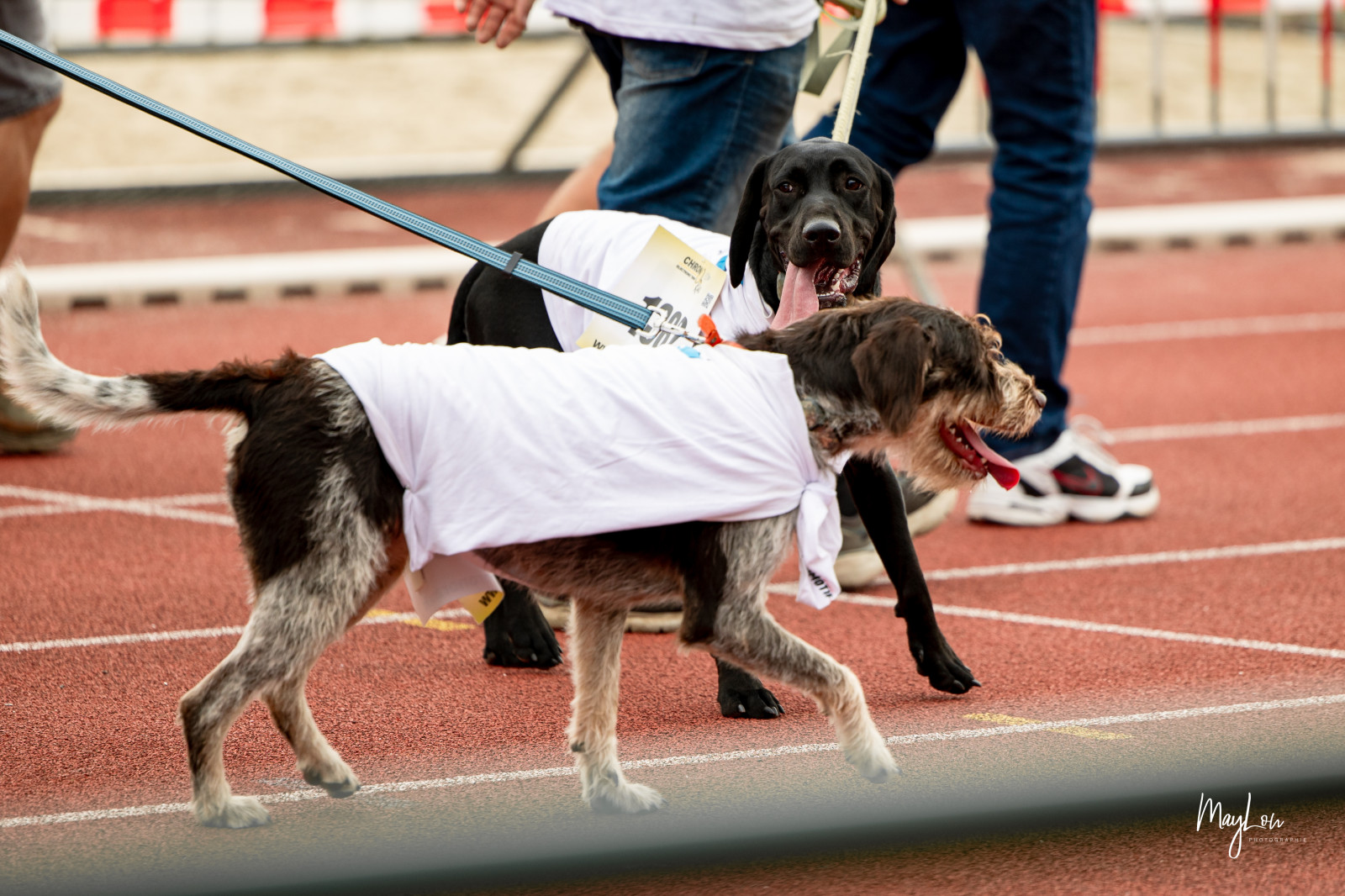 Les images du Crac'sathon 2024 - photo 66